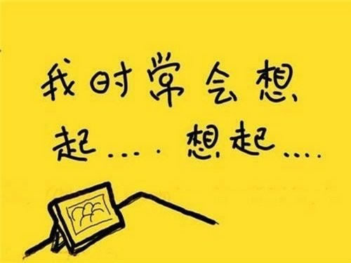 体育博彩